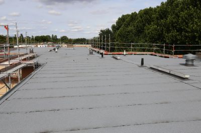 Spring Roofing Maintenance